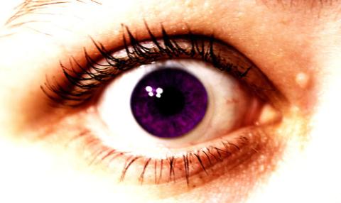 Fialové oko